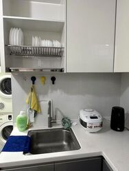 The Riverine By The Park (D12), Apartment #634937561